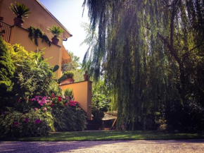 Отель Le Pinette B&B  Амельа